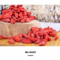 Venta caliente baya roja certificada china de goji